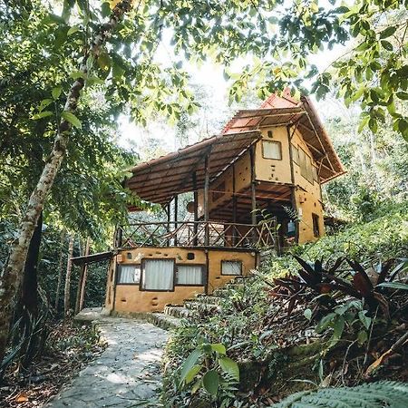 Chirapa Manta Amazon Lodge Lamas 外观 照片