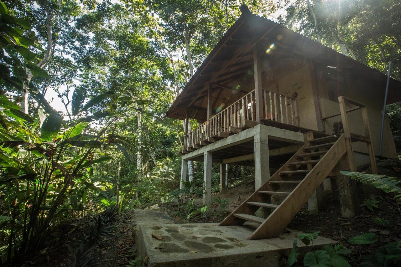 Chirapa Manta Amazon Lodge Lamas 外观 照片
