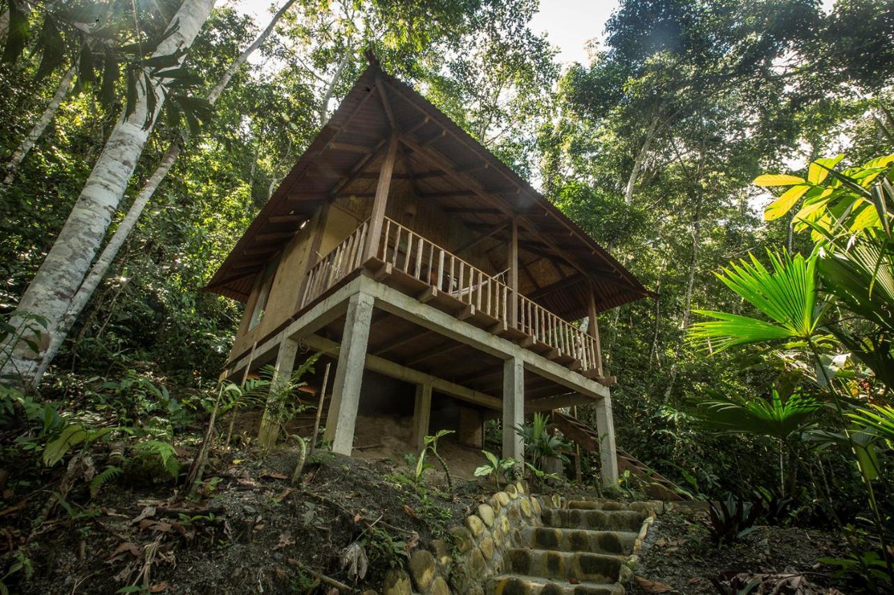 Chirapa Manta Amazon Lodge Lamas 外观 照片
