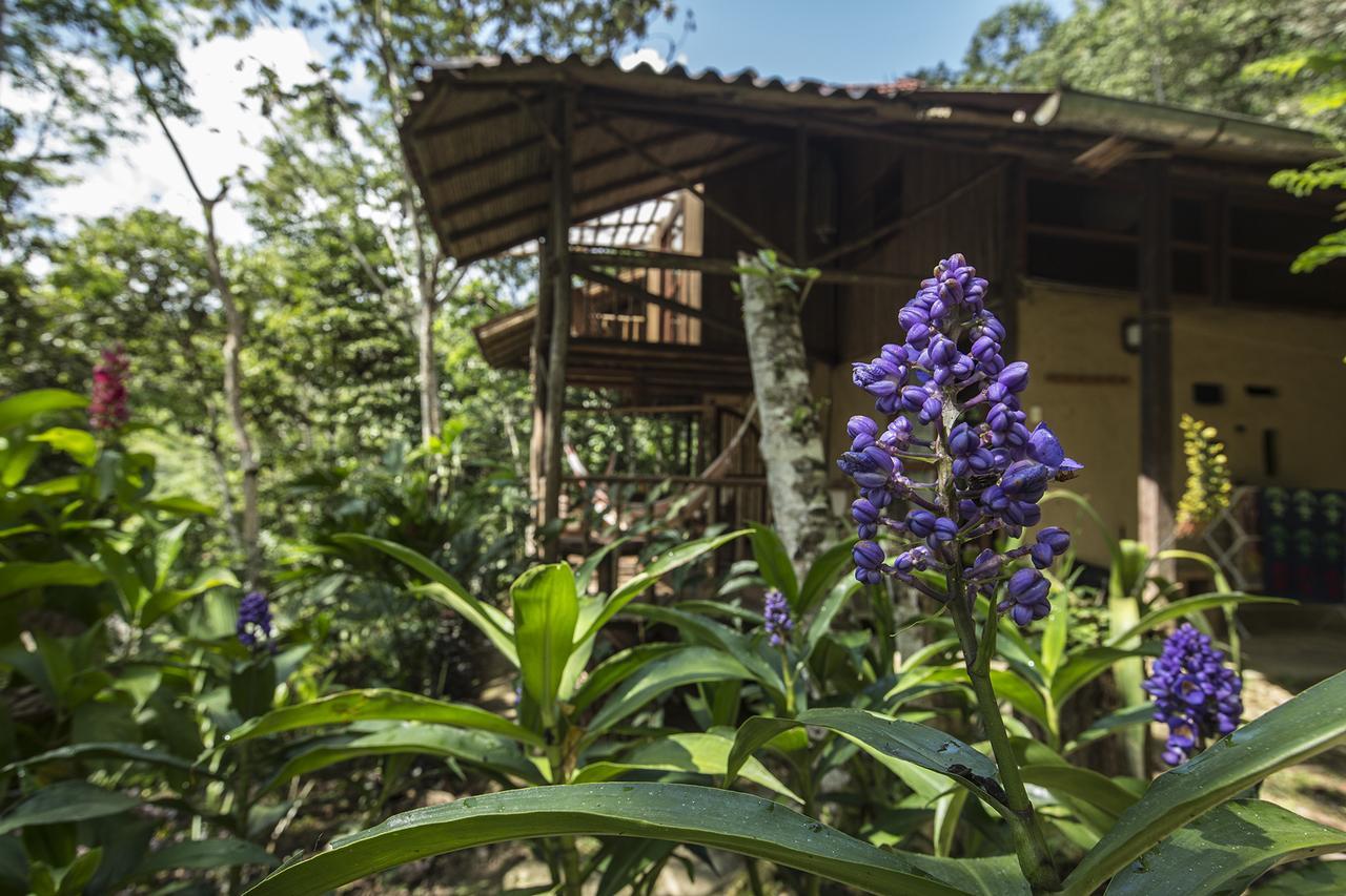 Chirapa Manta Amazon Lodge Lamas 外观 照片