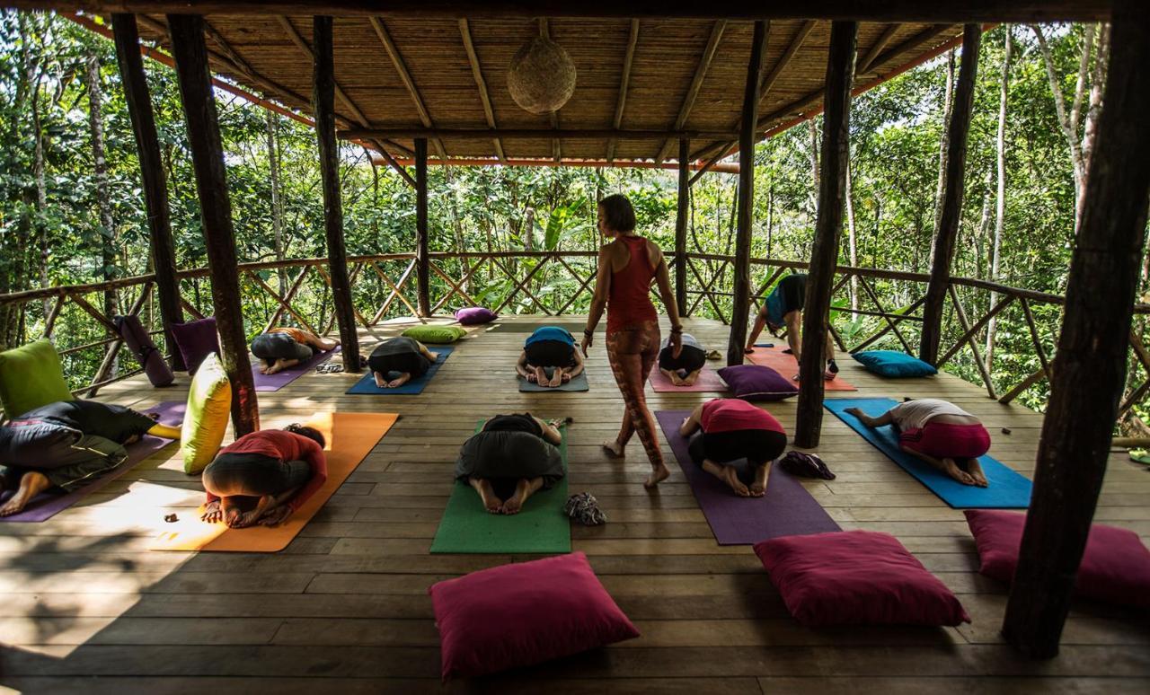 Chirapa Manta Amazon Lodge Lamas 外观 照片