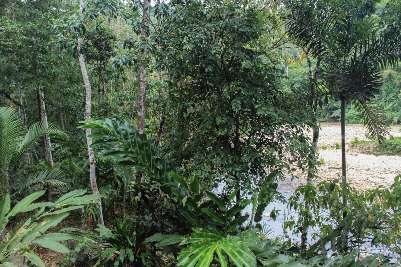 Chirapa Manta Amazon Lodge Lamas 外观 照片