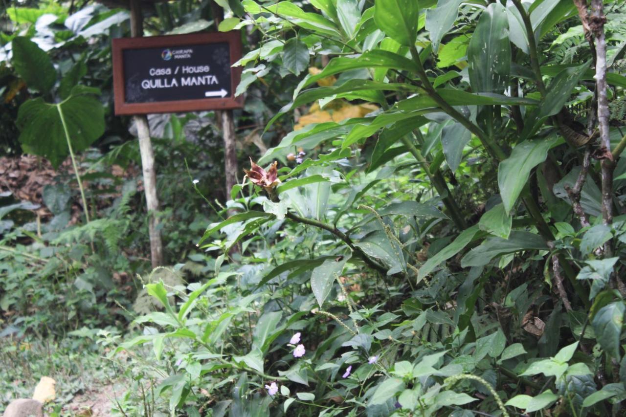 Chirapa Manta Amazon Lodge Lamas 外观 照片